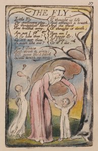 Liederen van Onschuld en Ervaring, Plaat 37, De Vlieg (Bentley 40) door William Blake